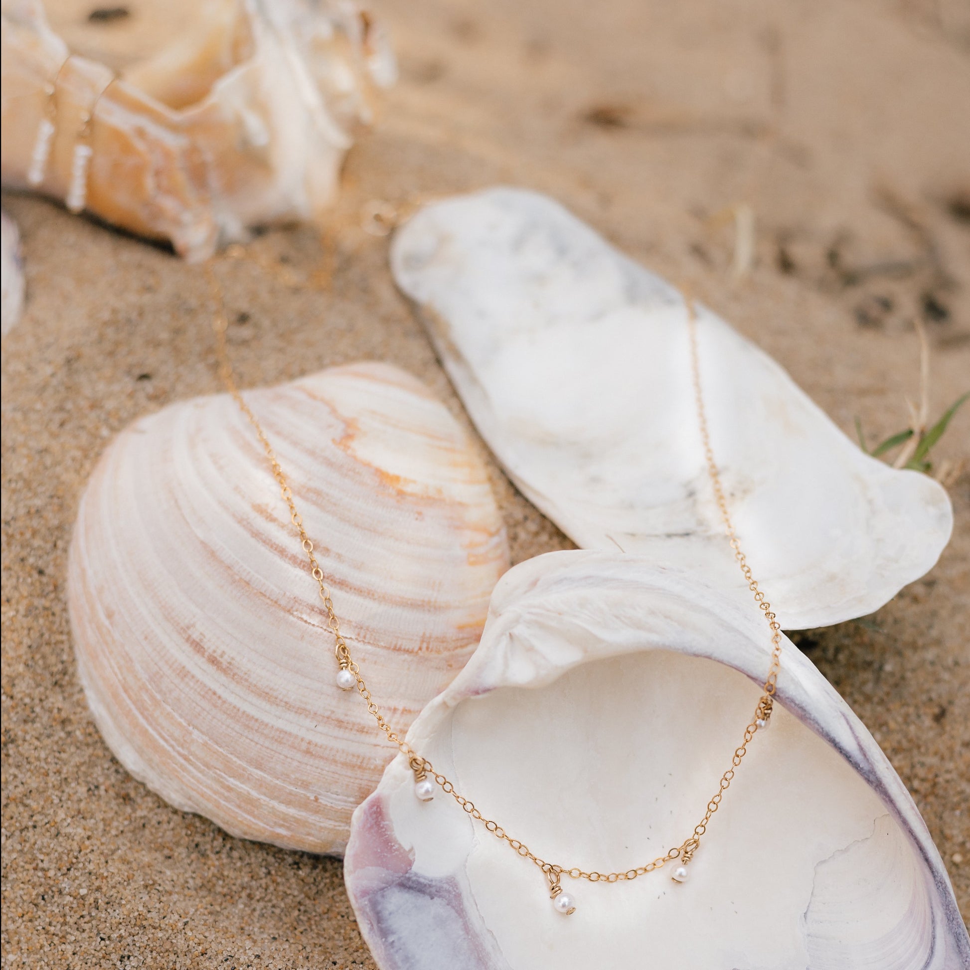 Timeless Pearl Necklace – Handcrafted with freshwater pearls and a 14K Gold Filled chain, beautifully styled on seashells. Perfect for adding classic elegance and coastal charm to your jewelry collection. Shop now for high-quality, timeless accessories