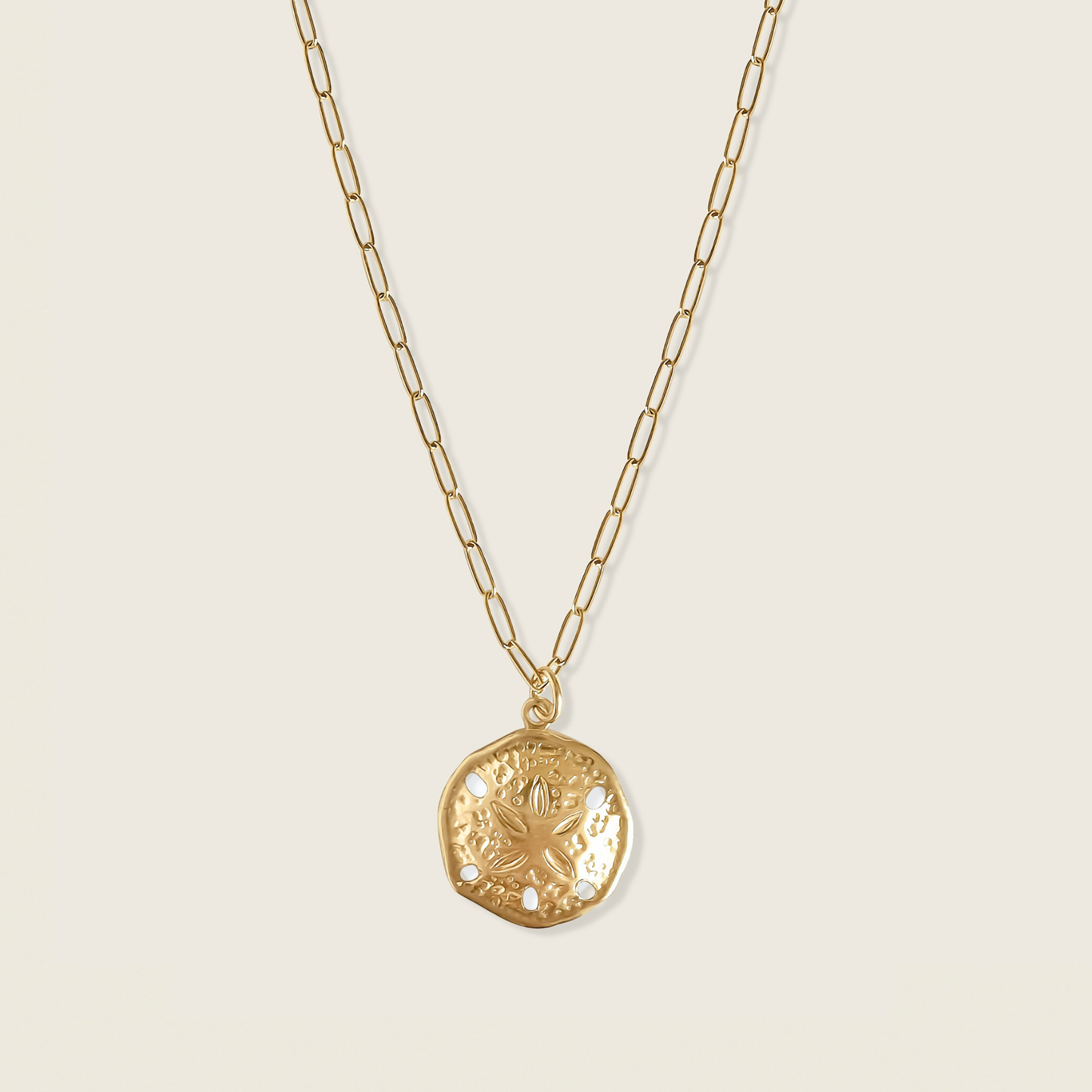 Gold necklace with a sand dollar pendant on a beige background