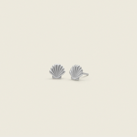 Shell Stud Earrings